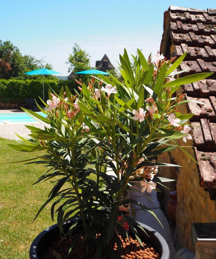 Le Clos de la Musardise - Gîtes de Charme avec Piscine Chauffée Salignac Eyvigues Exterior foto
